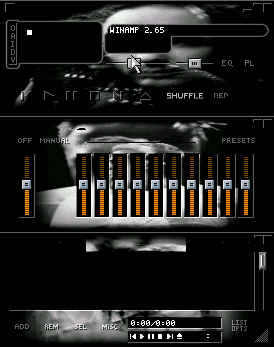 Korn Skin 1