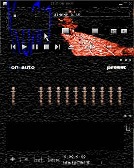 Korn Skin 13
