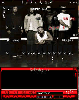 Korn Skin 14