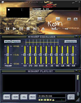 Korn Skin 17