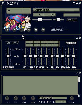 Korn Skin 4