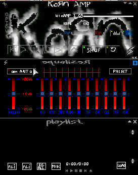 Korn Skin 5