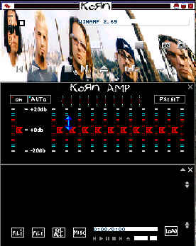 Korn Skin 7
